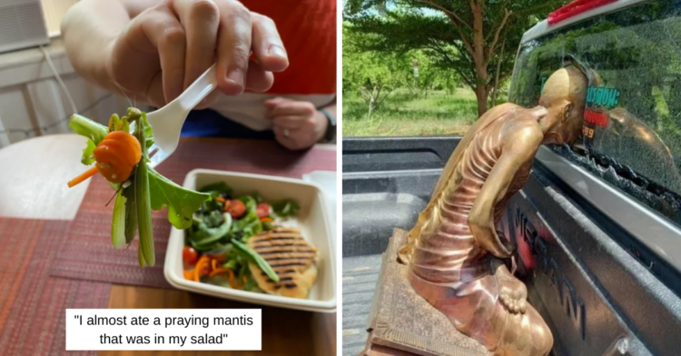 15+ Unexpected Hazards That Didn’t Even Come With A Warning Sign
