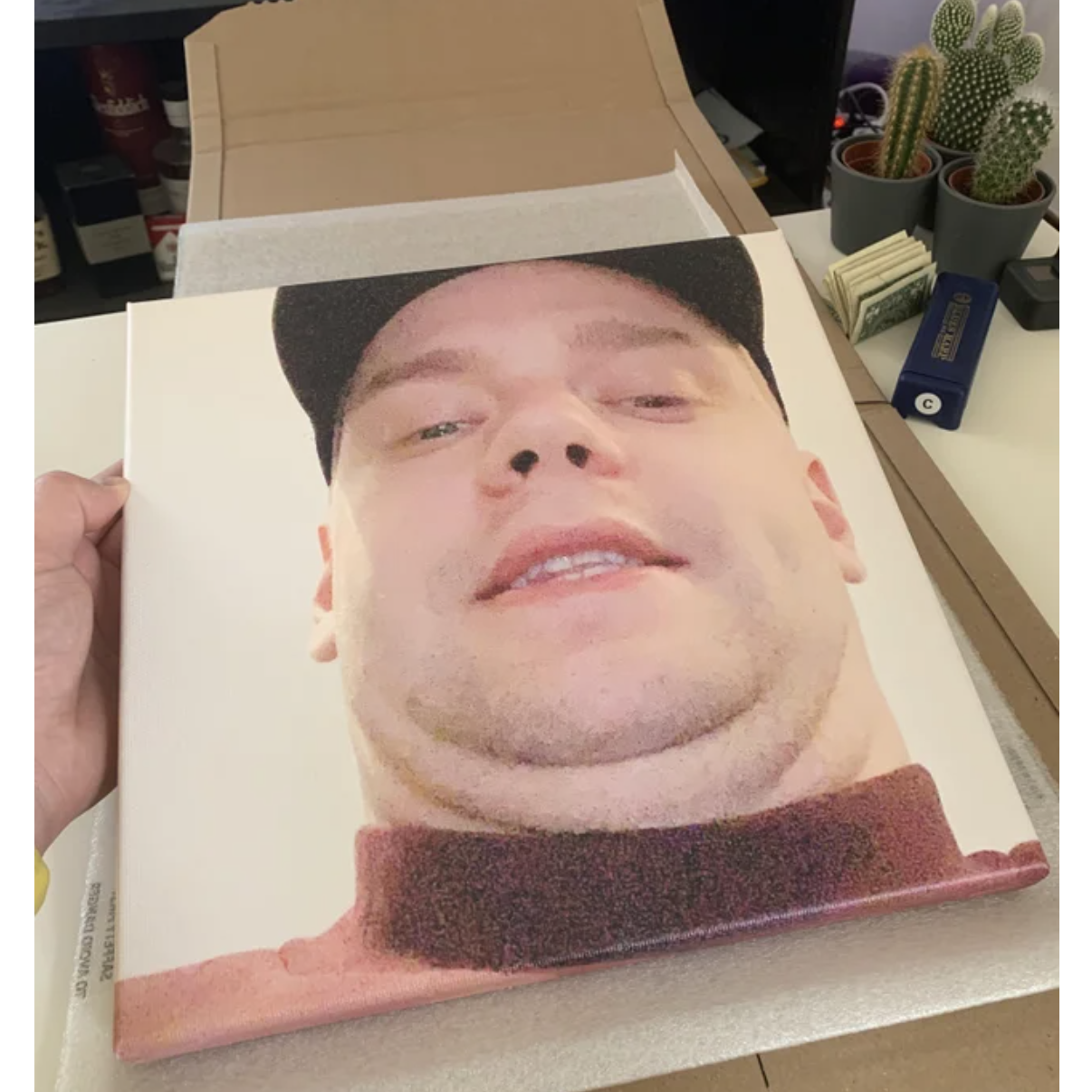 Image credit: Reddit | Dutch_Fudge